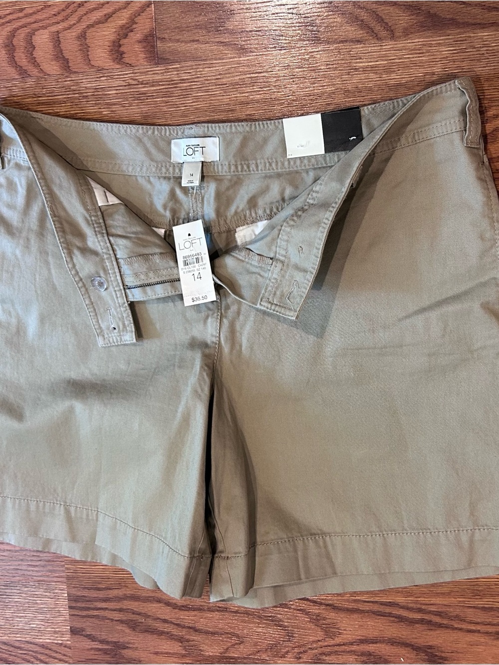 LOFT 100% Cotton Marisa Shorts - Flat Front Tailored Style